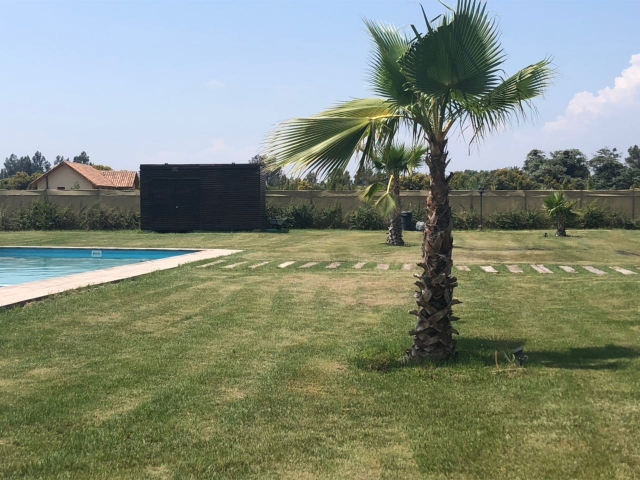 WhatsApp Image 2018-03-27 at 22.51.57.jpeg